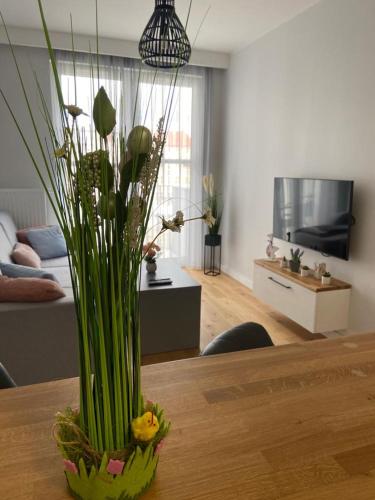 Apartament Aura Rybaki — 4-Star Luxury Hotel in Gdansk, Poland