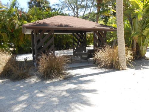 The Parrot Nest - photo 44