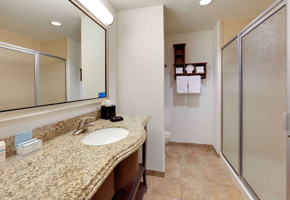 Hampton Inn & Suites Dallas Arlington South - photo 24