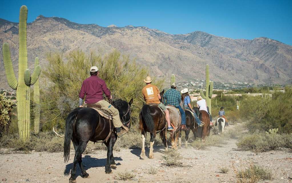 Hacienda Del Sol Guest Ranch Resort - photo 25