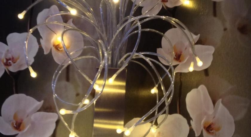 Arkada Hotel in Novosibirsk, Russia