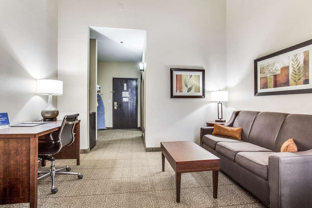 Comfort Inn & Suites Love Field Dallas Market Center - photo 20
