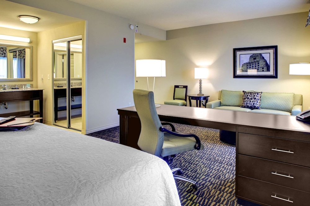 Hampton Inn & Suites Baton Rouge Downtown - photo 10