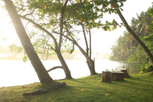 River Loom in Kovalam, India
