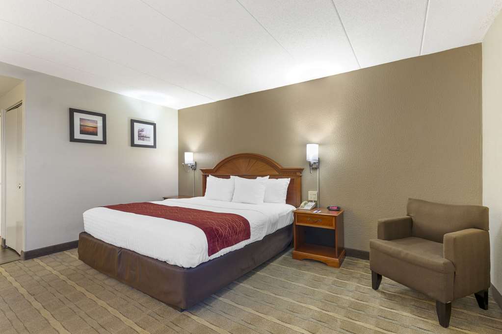Comfort Inn University Center - photo 14