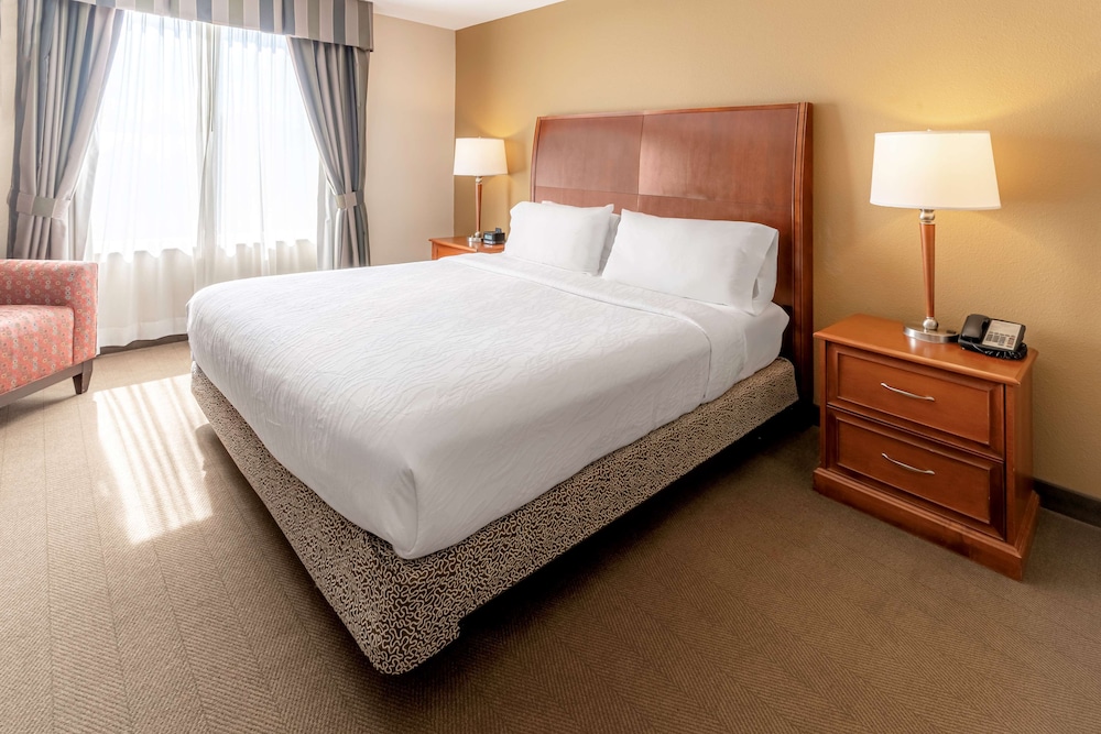 Hilton Garden Inn Houston The Woodlands - photo 16