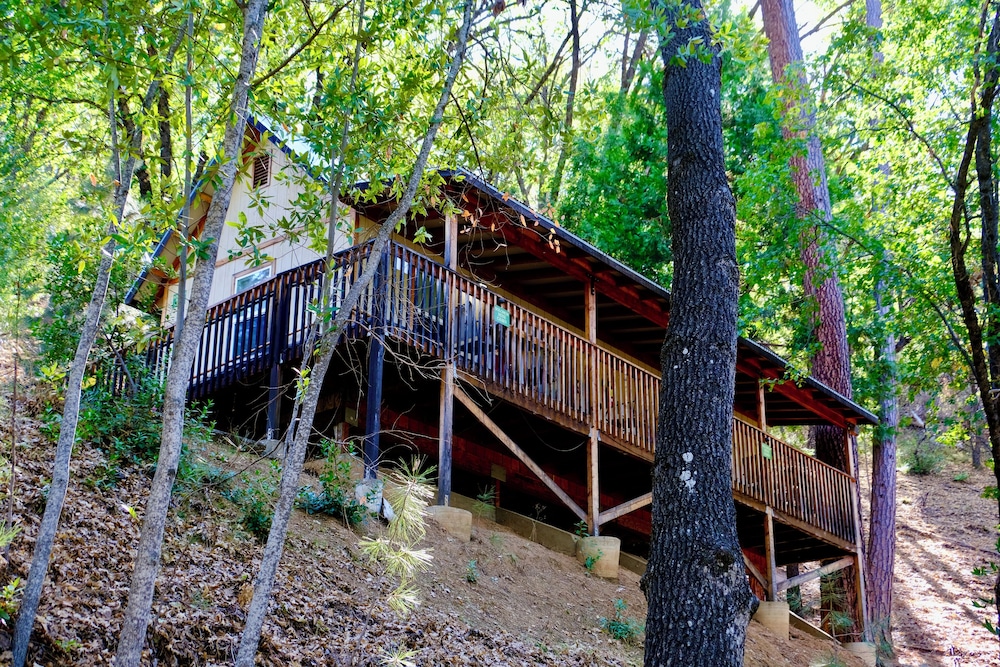 Yosemite Bug Rustic Mountain Resort - photo 131
