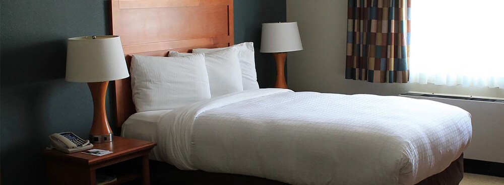 Isle of Capri Casino Hotel Lula A Caesars Rewards Destination - photo 5