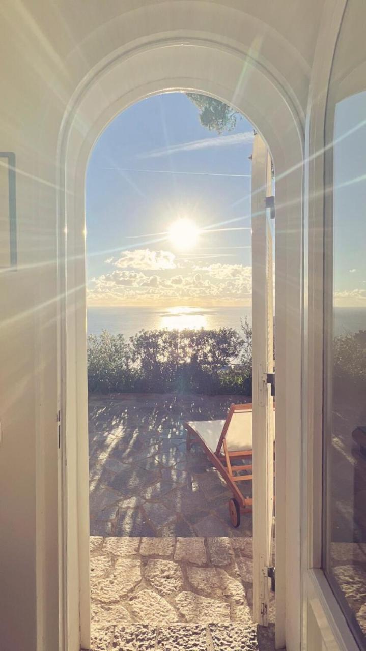 La Casetta Delle Api — Capri — photo 4
