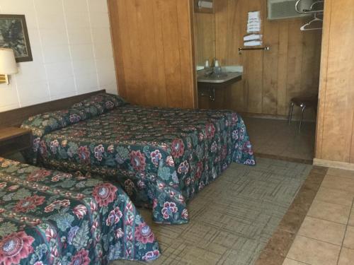 Towne Center Motel - photo 46