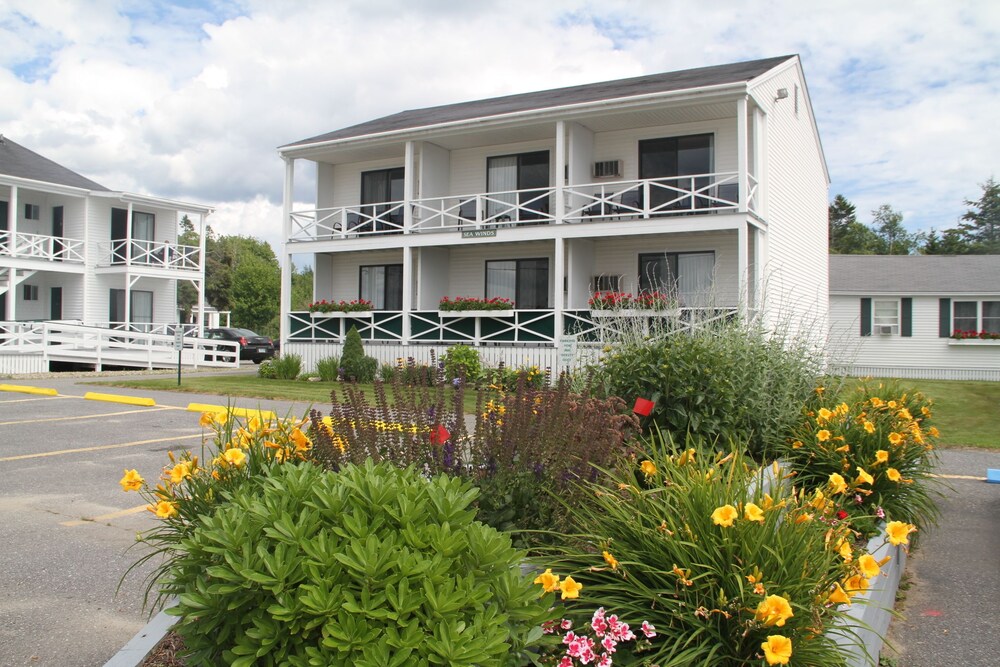 Bluebird Ocean Point Inn - photo 10