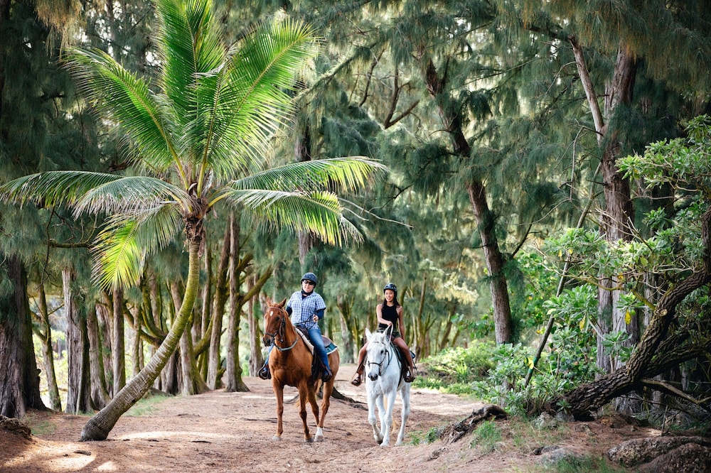 Ocean Bungalows at Turtle Bay Resort - photo 34