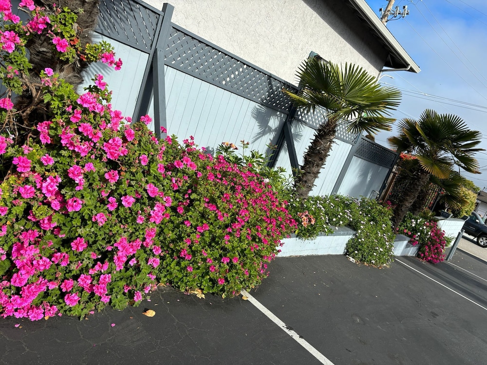 Monterey Fireplace Inn - photo 30