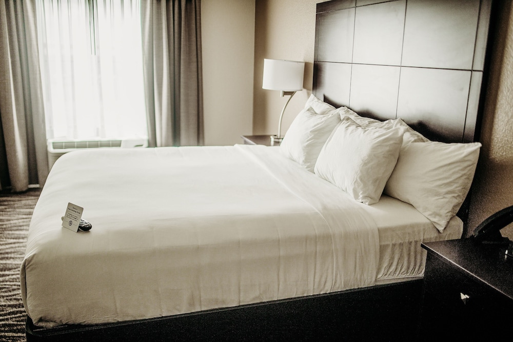 Cobblestone Hotel & Suites International Falls - photo 9