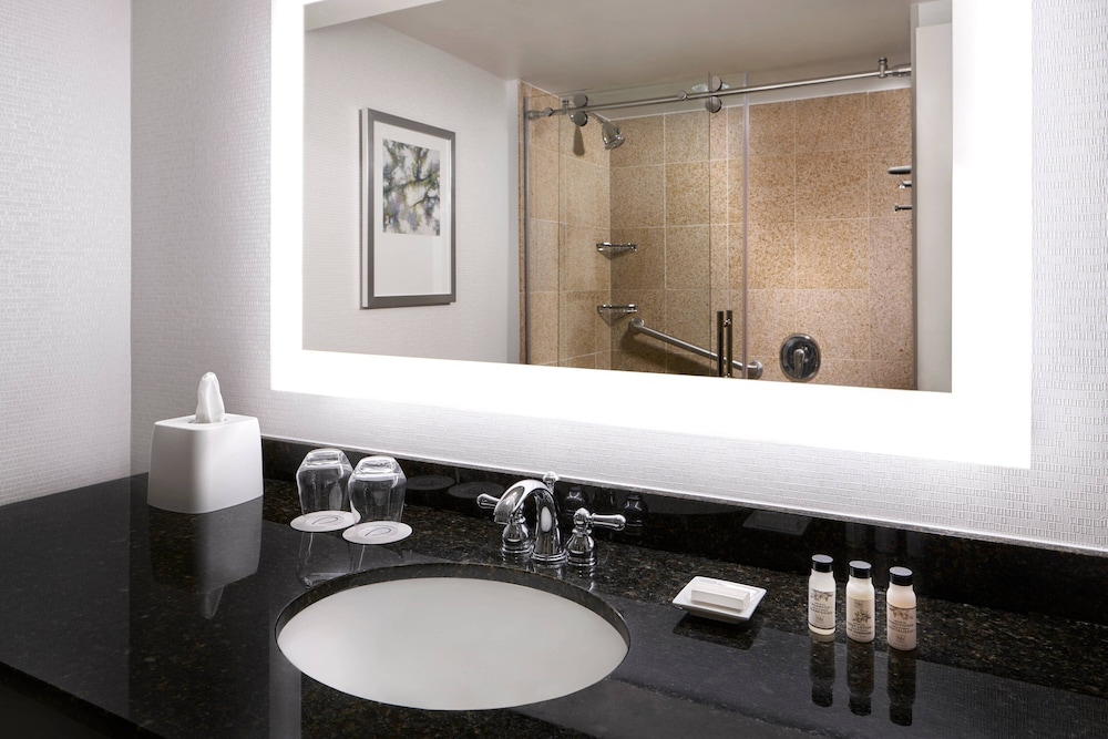 Delta Hotels by Marriott Chesapeake Norfolk - photo 17