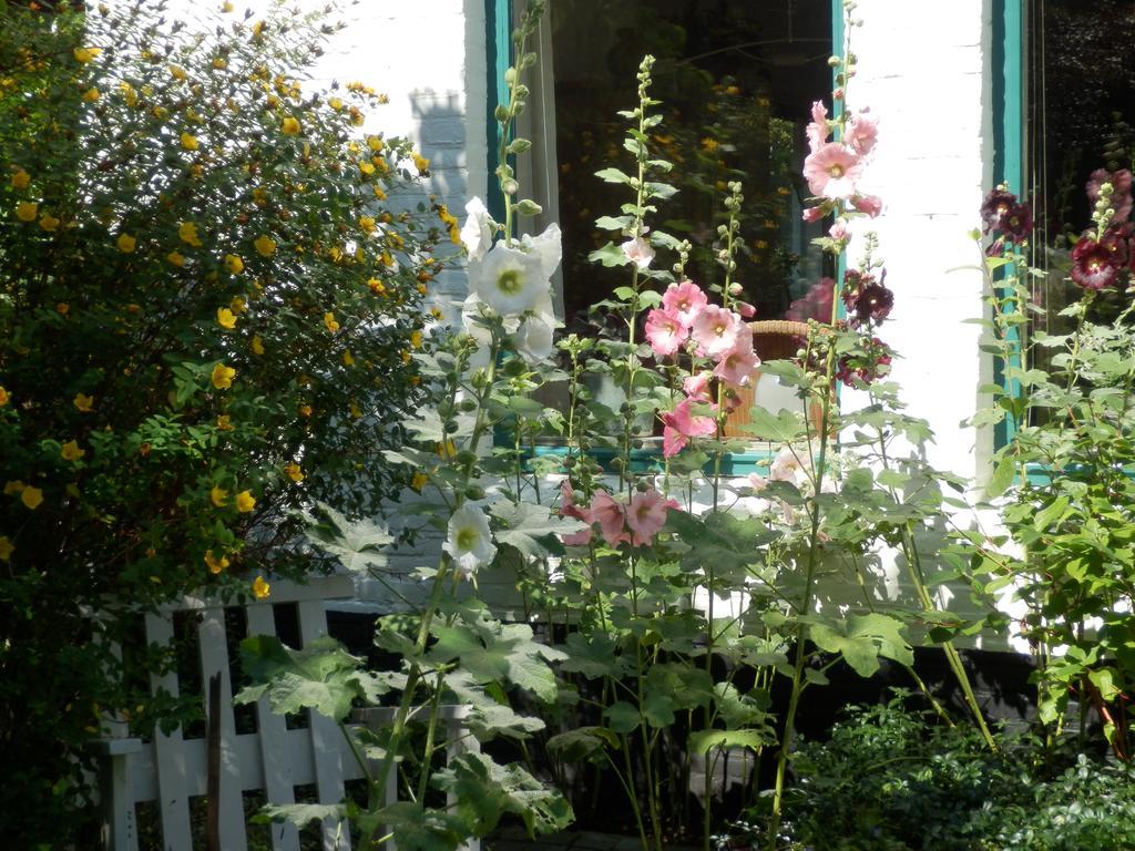 B&B Overbosch