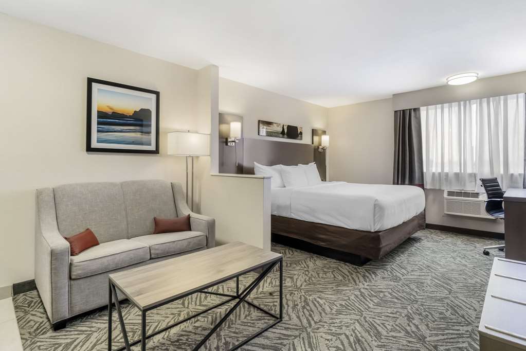 Comfort Inn & Suites Pacific Auburn - photo 19
