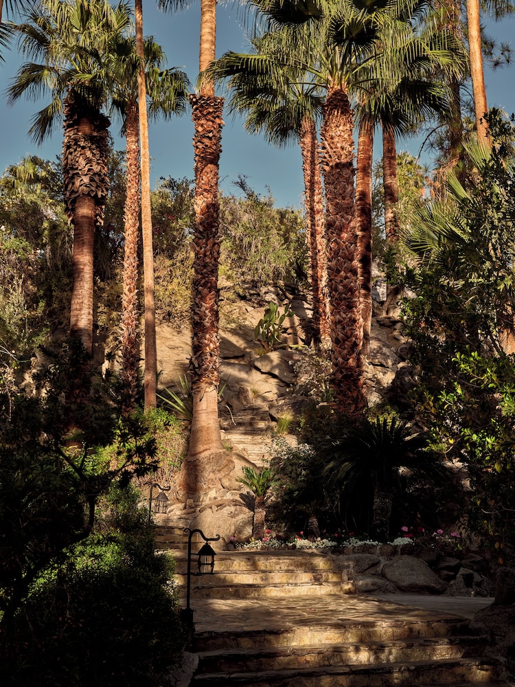 The Willows Palm Springs - photo 99