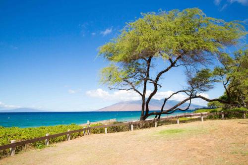 Hale Kamaole 209 - photo 34