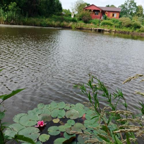 Siedlisko Julitkowo pet-friendly hotel Czlopa