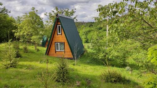 Zelenaya Usad`ba StavBor in Unknown City, Ukraine