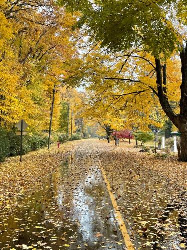 Bold Stump Cottage — 4-Star Luxury Hotel in Lakeside, United States