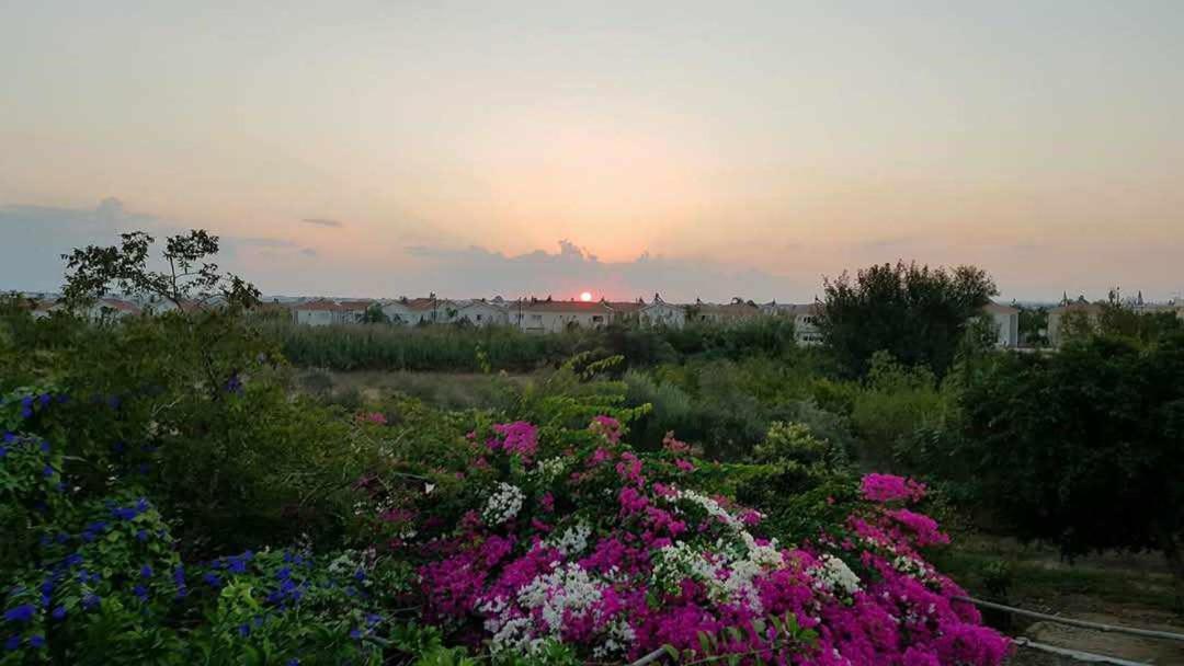 Little Paradise — 4-Star Luxury Hotel in Sotira, Cyprus