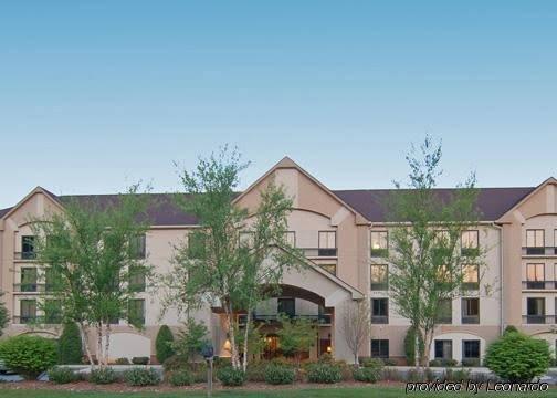 Quality Inn & Suites Biltmore South - featured photo