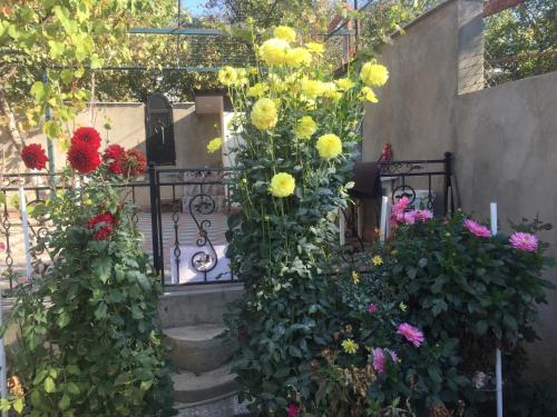 Apartament Sofia