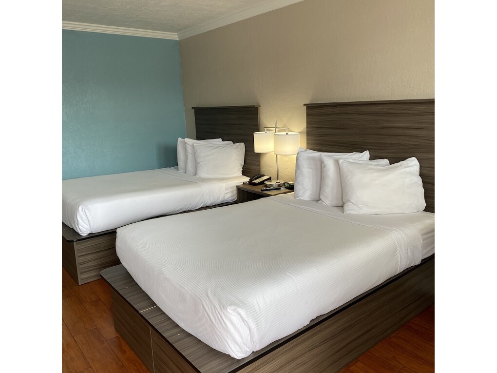 Melbourne Suites - photo 17