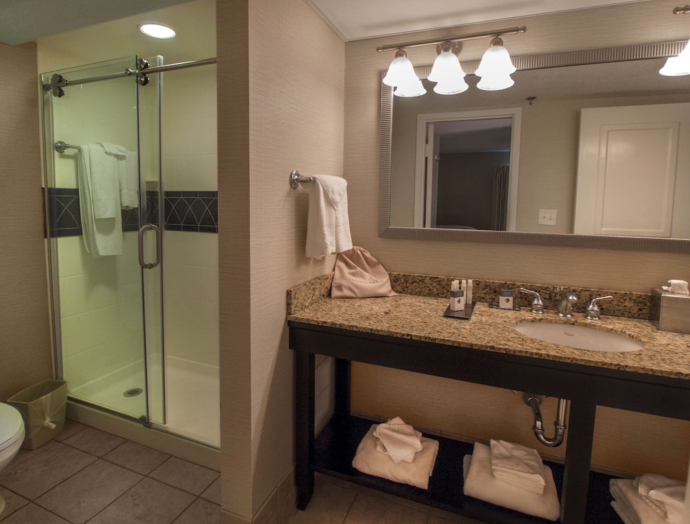 DoubleTree by Hilton Hotel Buffalo Amherst - photo 29