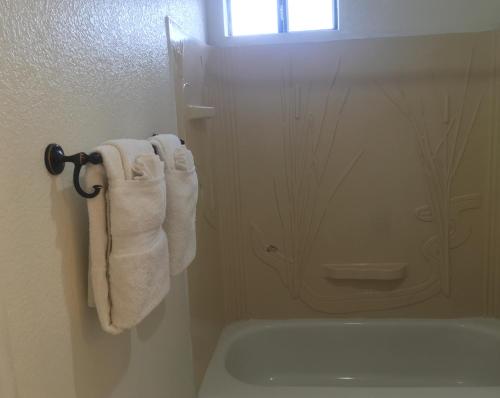 Pine View Motel - photo 42