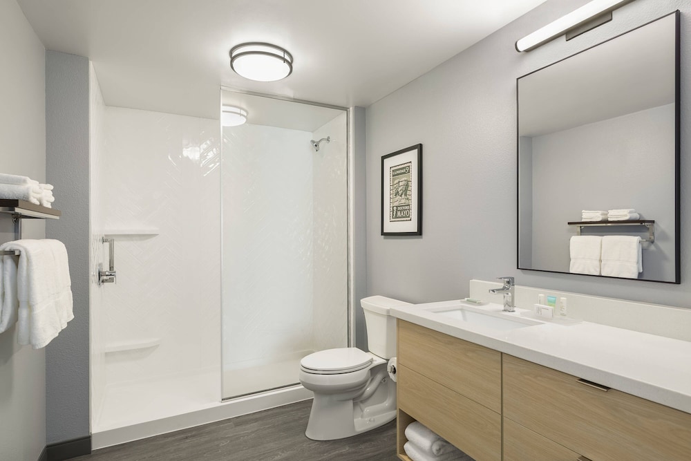 TownePlace Suites by Marriott Rochester Mayo Clinic Area - photo 18