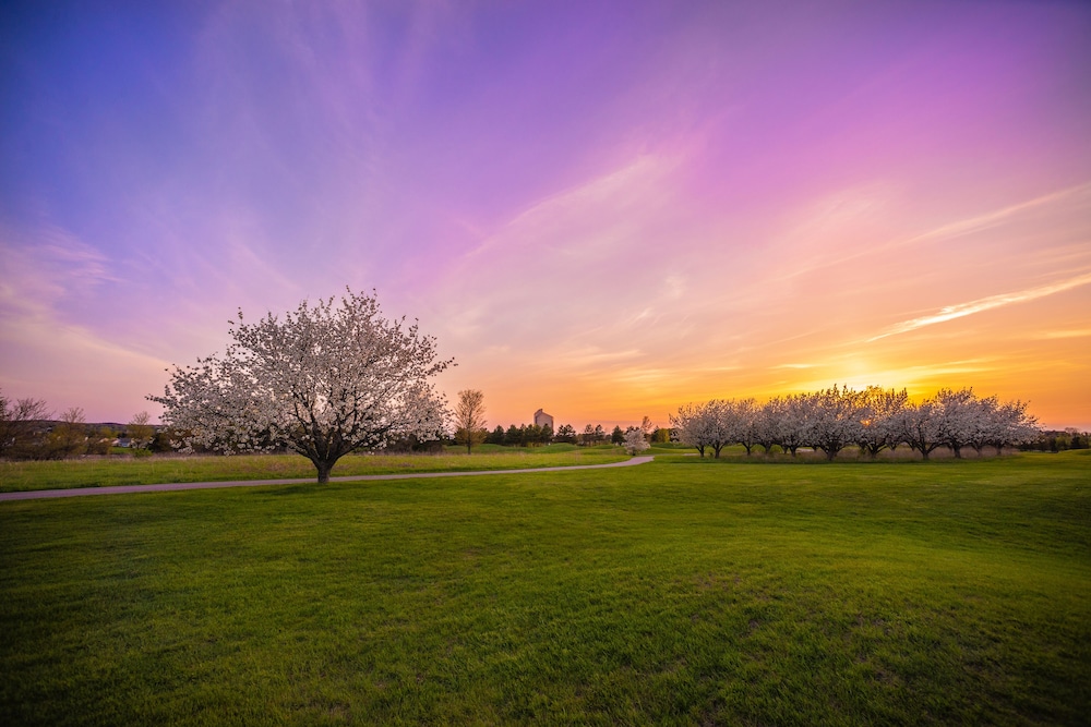 Grand Traverse Resort And Spa - photo 76
