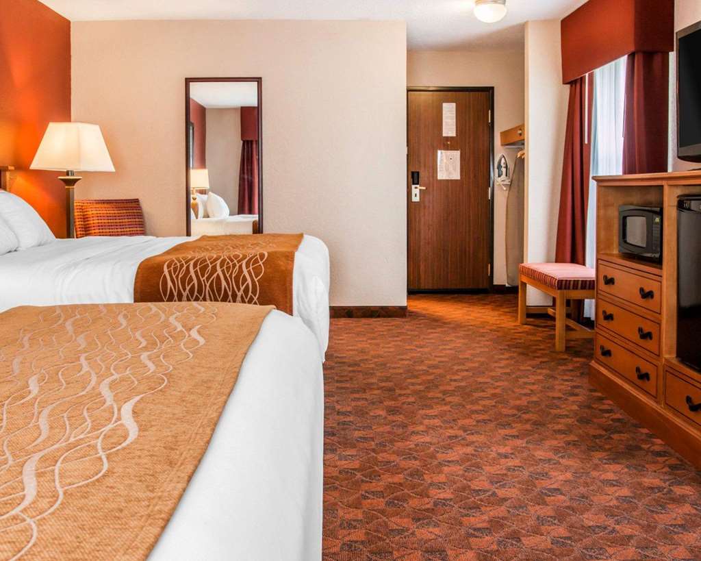 Comfort Inn & Suites and Conference Center - photo 10