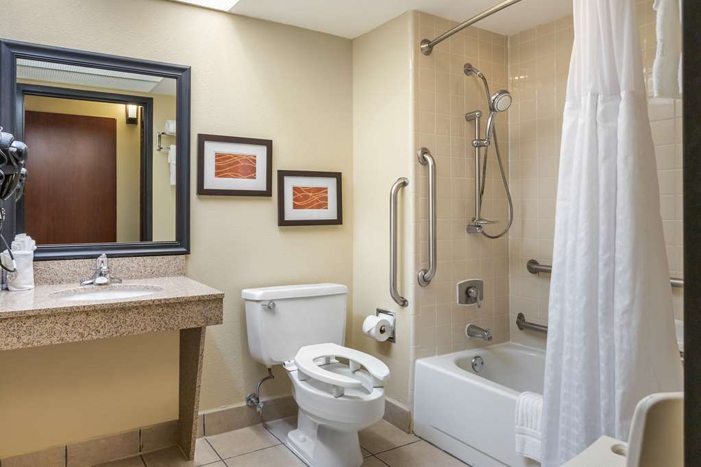 Comfort Inn Grand Rapids Airport - photo 16