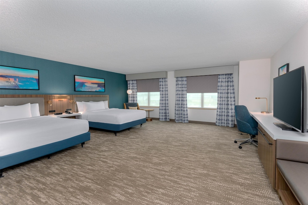 Hilton Garden Inn Buffalo Airport - photo 12