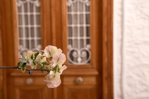 Antoinette Mansion — Ydra — photo 3