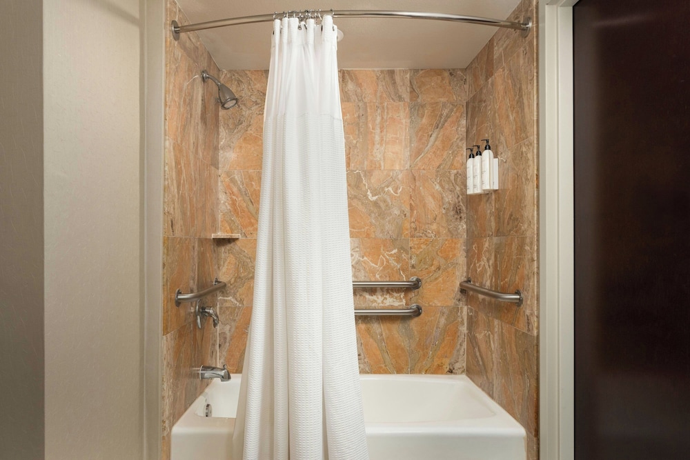 SpringHill Suites by Marriott Tampa Westshore Airport - photo 19