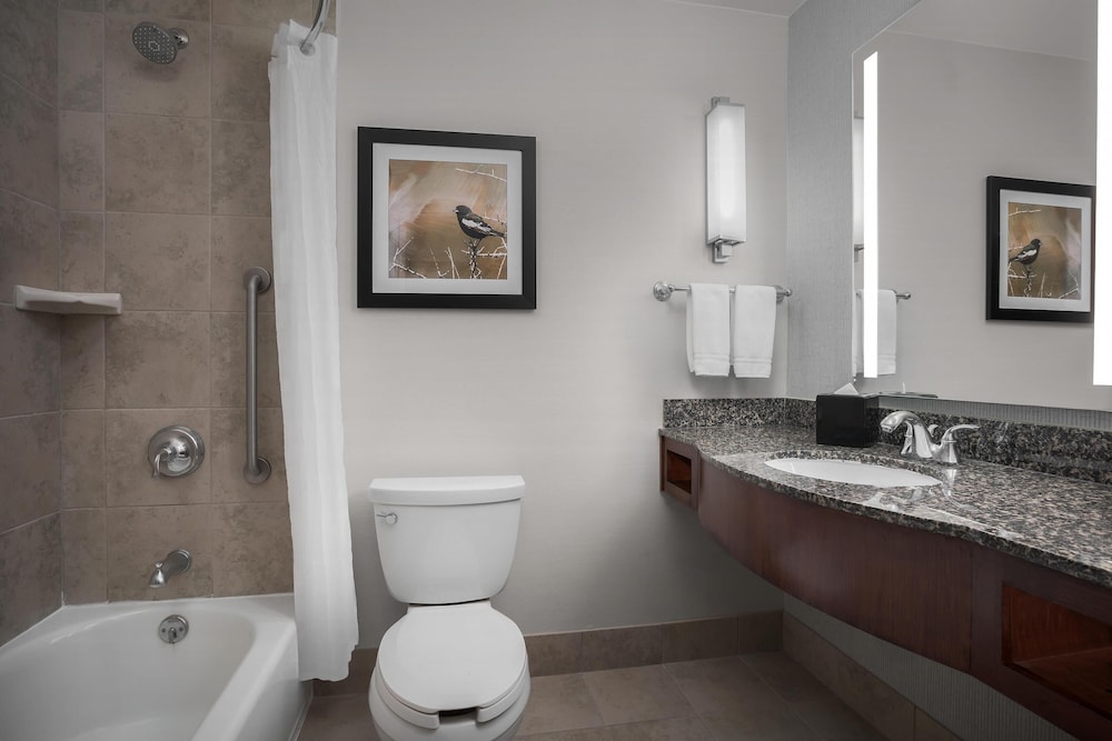 Hilton Garden Inn Denver Downtown - photo 45
