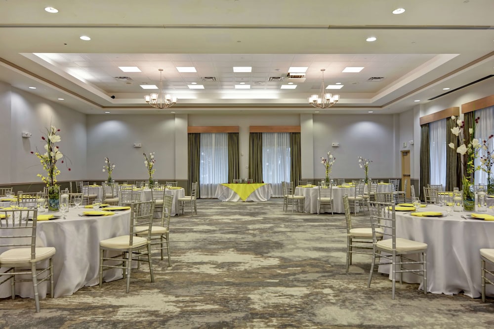 Hilton Garden Inn Lake Buena Vista Orlando - photo 42