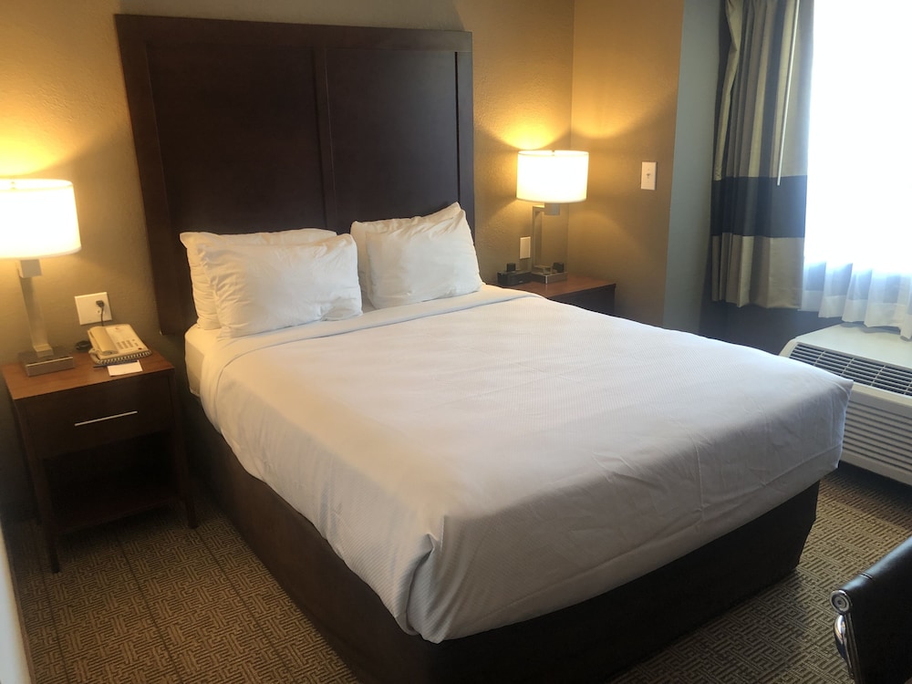 Comfort Inn & Suites Aztec Farmington Area - photo 6