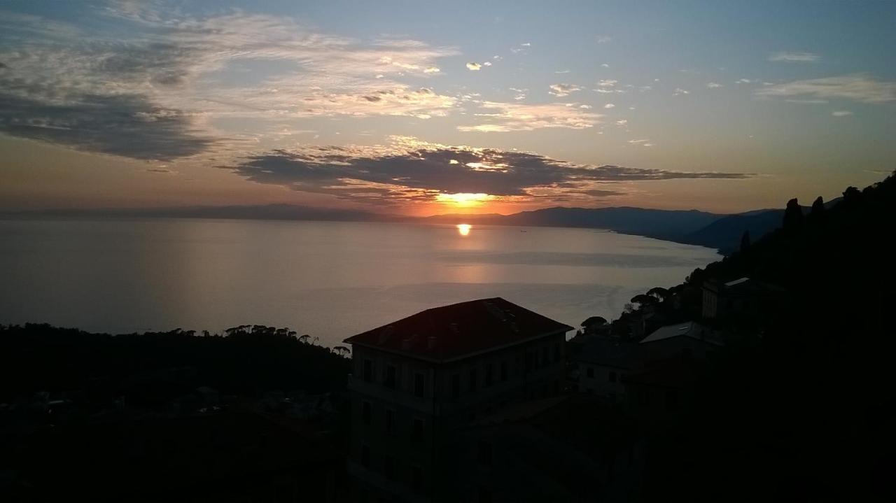 Host Alla Millenaria — Camogli — photo 3