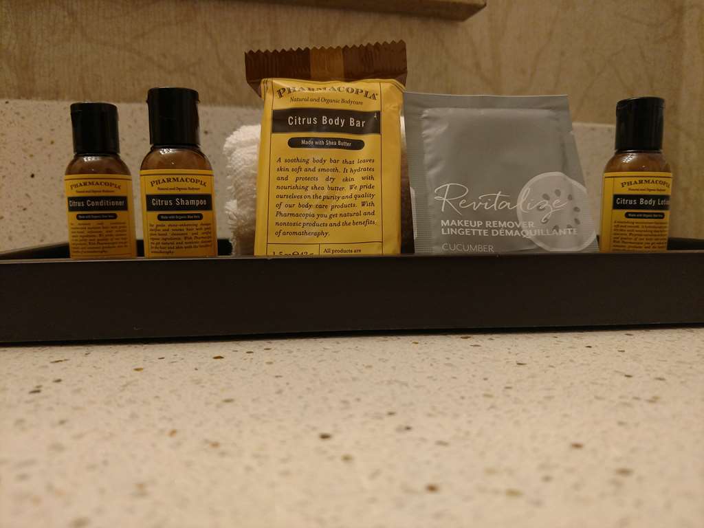 Best Western Plus Dayton Hotel & Suites - photo 21