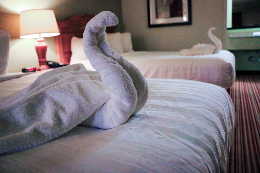 Suite Dreams Hotel - photo 17