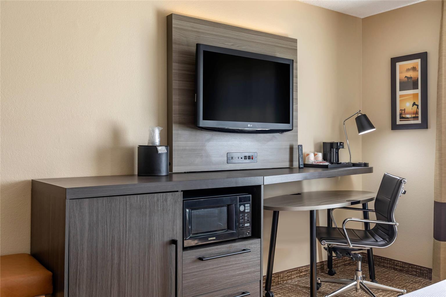 Comfort Inn & Suites North Dallas Addison - photo 15