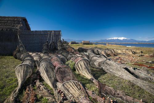 Litchi in Canet-En-Roussillon, France