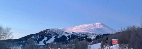 Solbergs fint attefallshus i Vik Åre — Are — photo 5