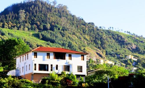 Satya Anand Cottage Pure Veg And Non Alcoholic Hotel — Ooty