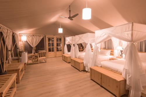Maisha Sweetwaters Camp — Nanyuki — photo 4